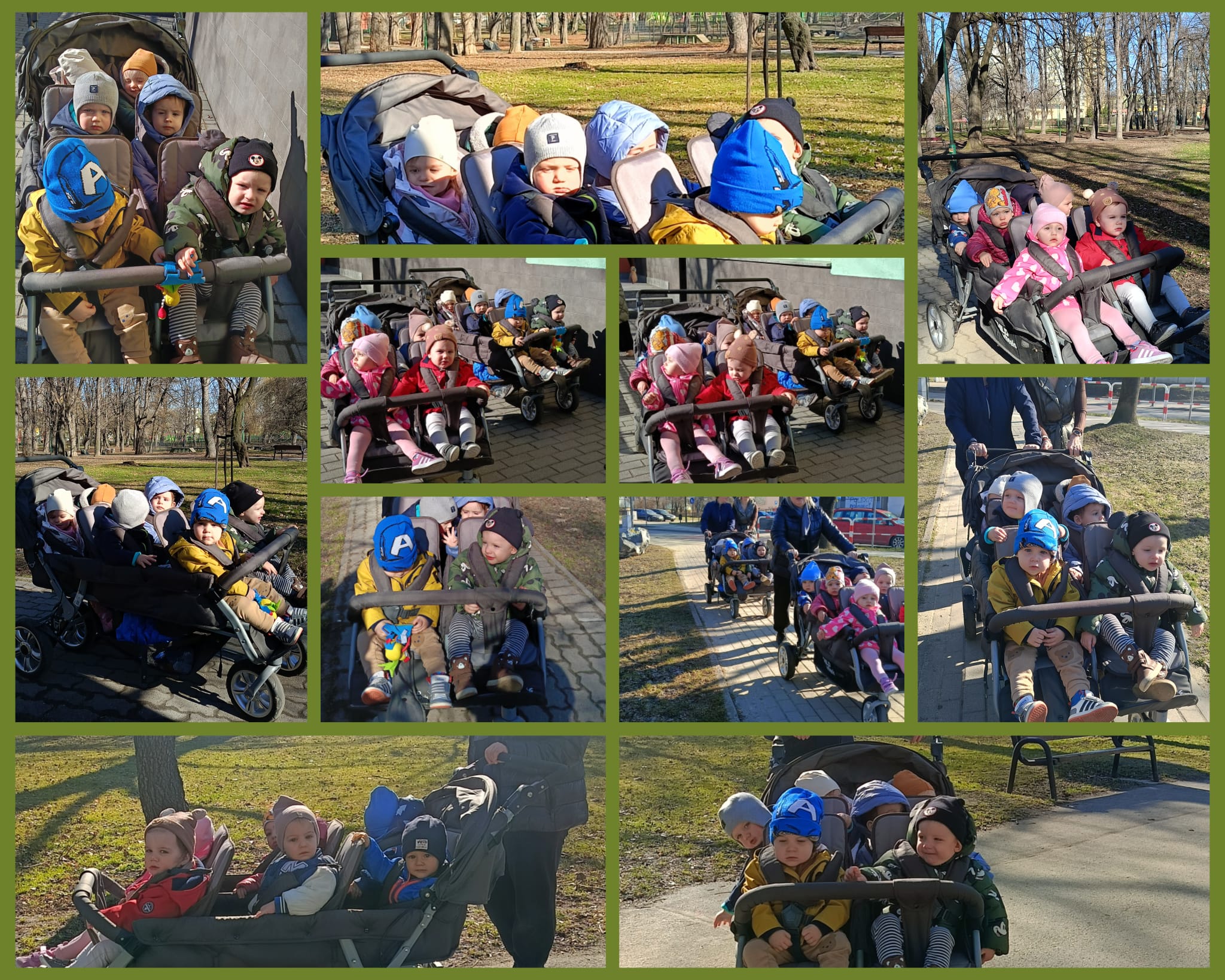 Słoneczka obserwują otoczenie w czasie spaceru.