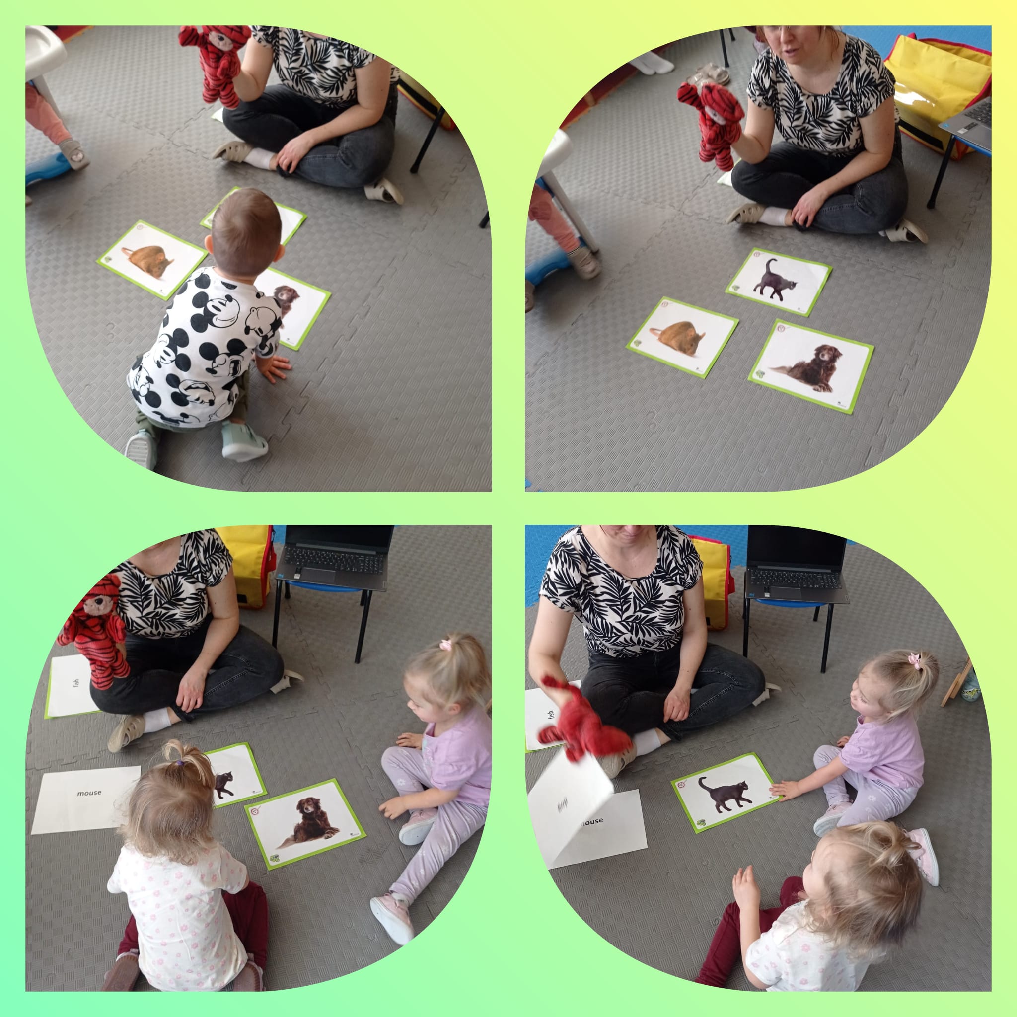 Zajęcia z języka angielskiego - Zwierzątka