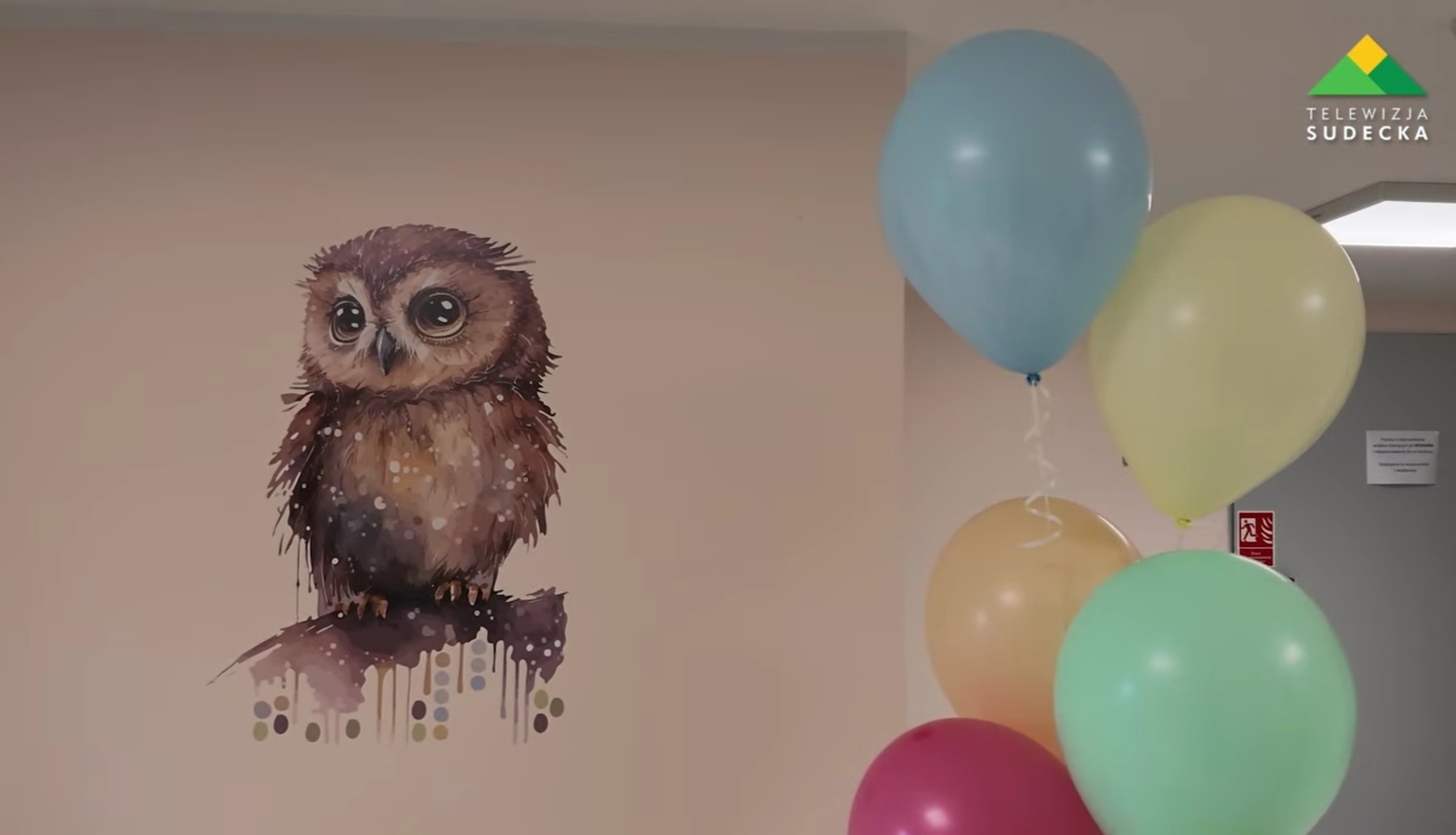 Obrazek z sową i balonami